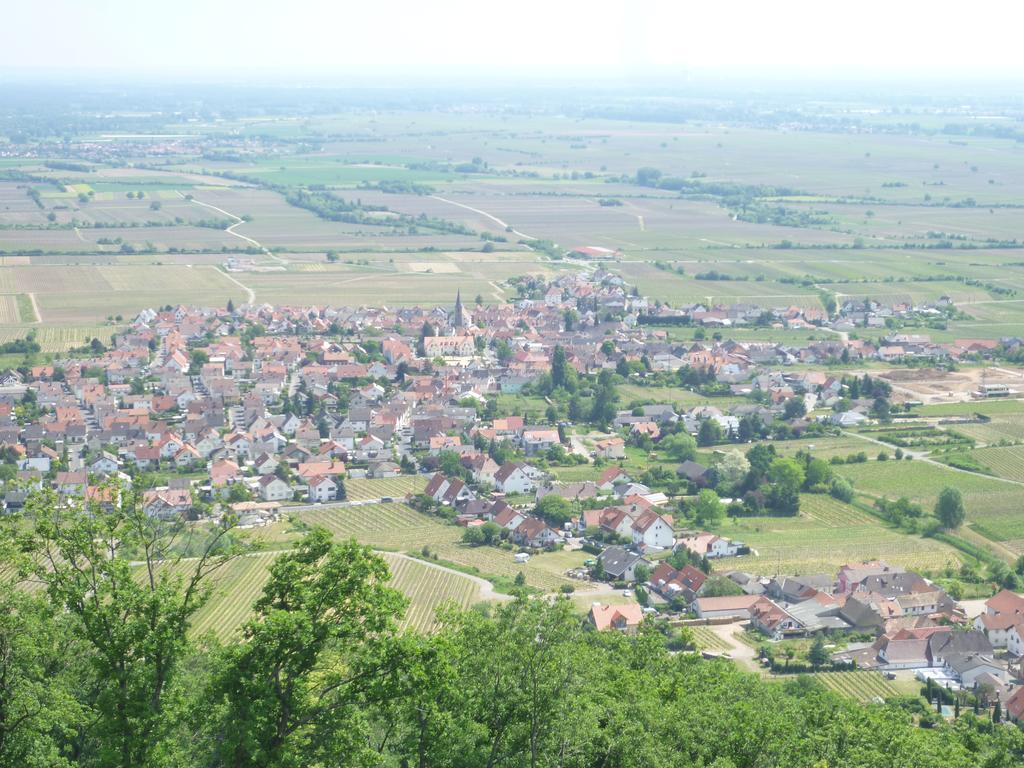 Rebstockel Gastehaus Weinhof & Vinothek Hotel Neustadt an der Weinstraße Buitenkant foto